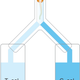 Diagram showing the second experiment, in which a seedling had access to two different growth solutions, one influenced by a plant that had been disturbed, and one that hadn’t.